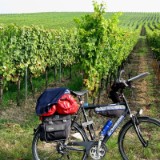 0909F 060 Mainschleife